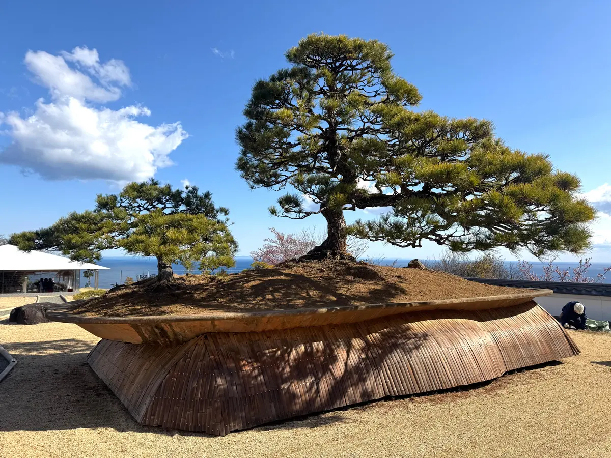 202601 アカオフォレスト 10