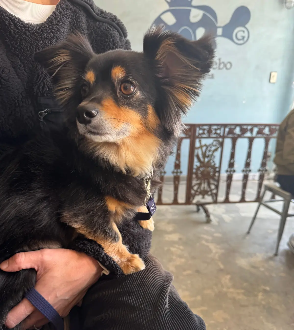 葉山さんぽ｜名物ランチ、パワースポット、の画像_2