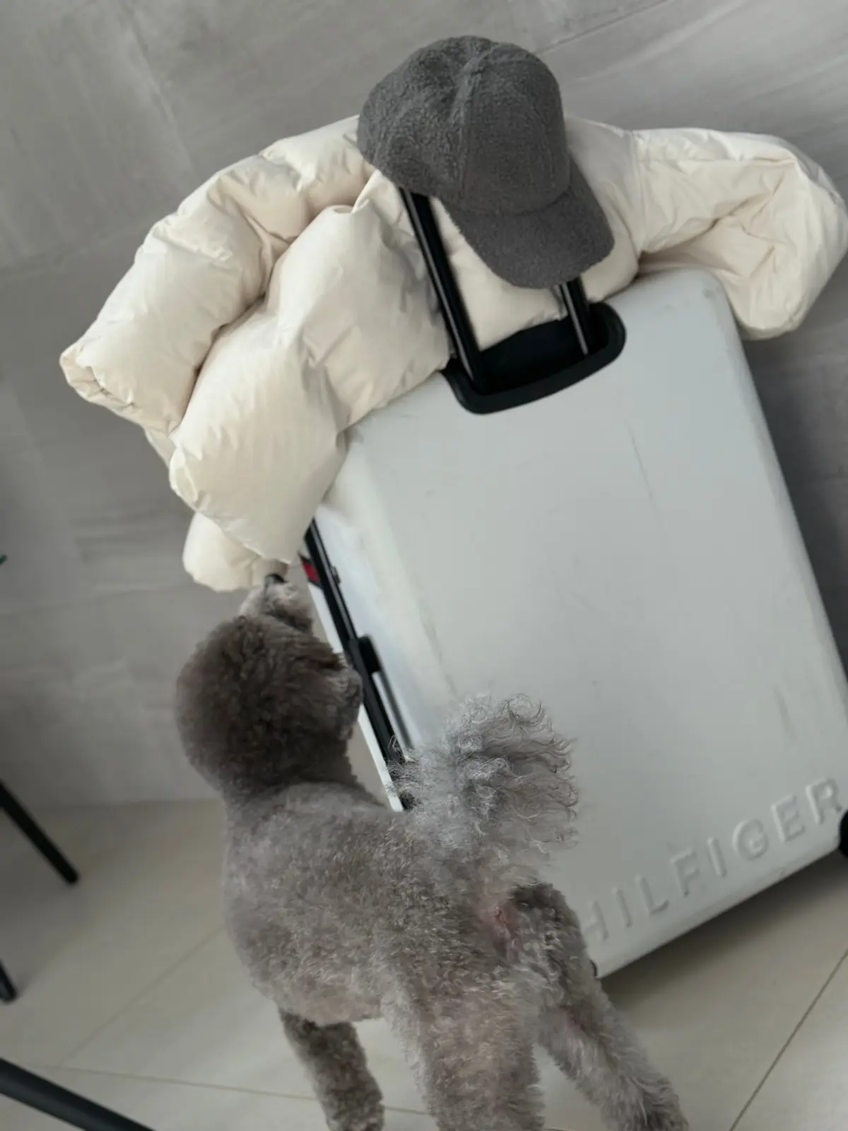 韓国旅行コーデ、　旅行バッグ