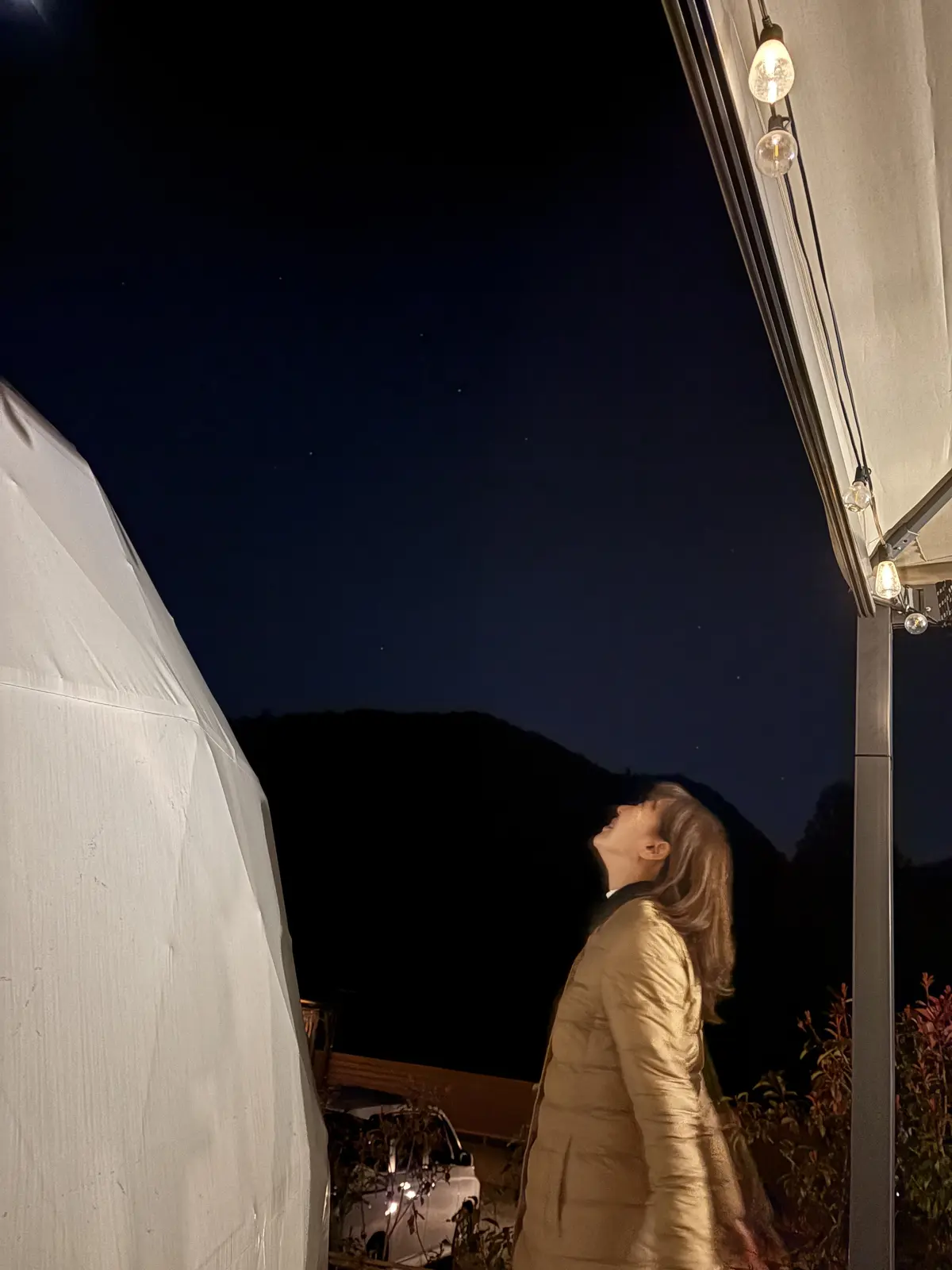 「人生で一度は叶えたいことを、大人になっの画像_8