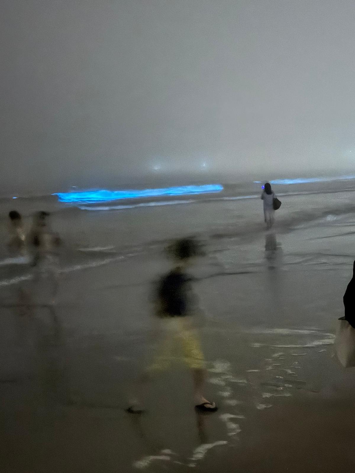 海辺の夜、青く光る波が遠くに広がり、数人の人が砂浜を歩く。