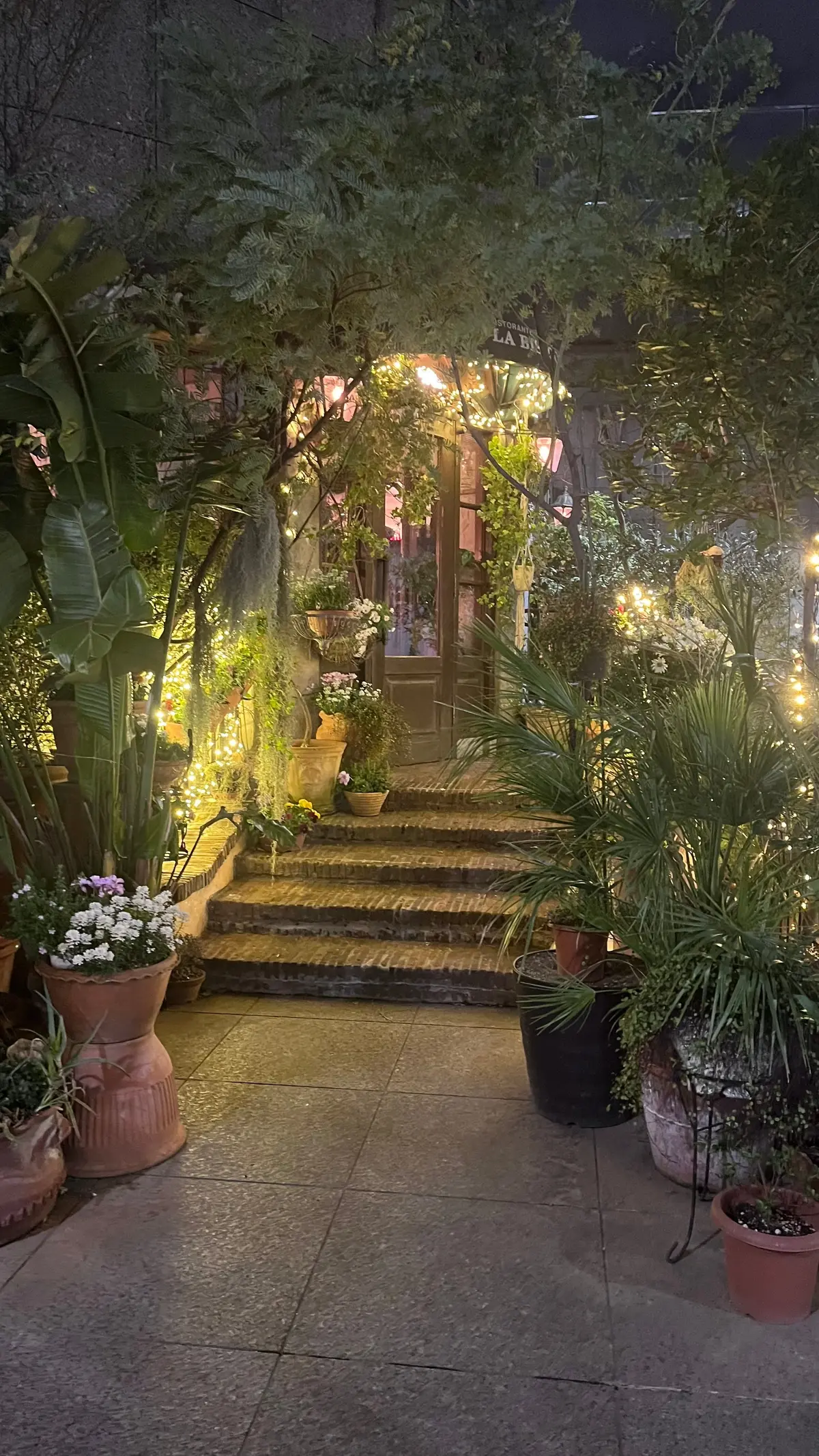 イタリアンの名店【ラ.ビスボッチャ】とトの画像_5