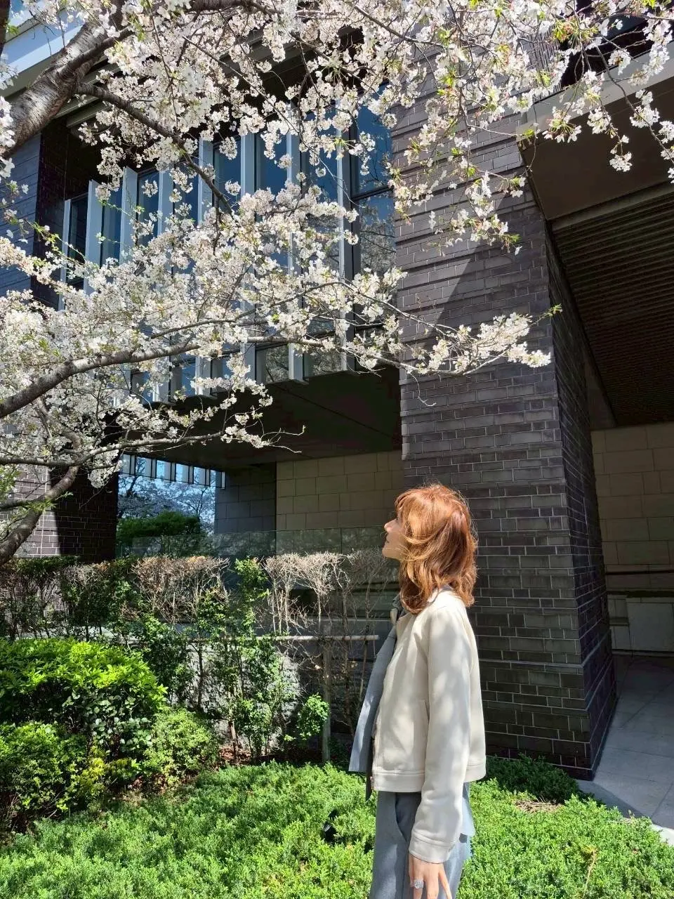 散ってしまう前にもう1回お花見🌸を♪の画像_2