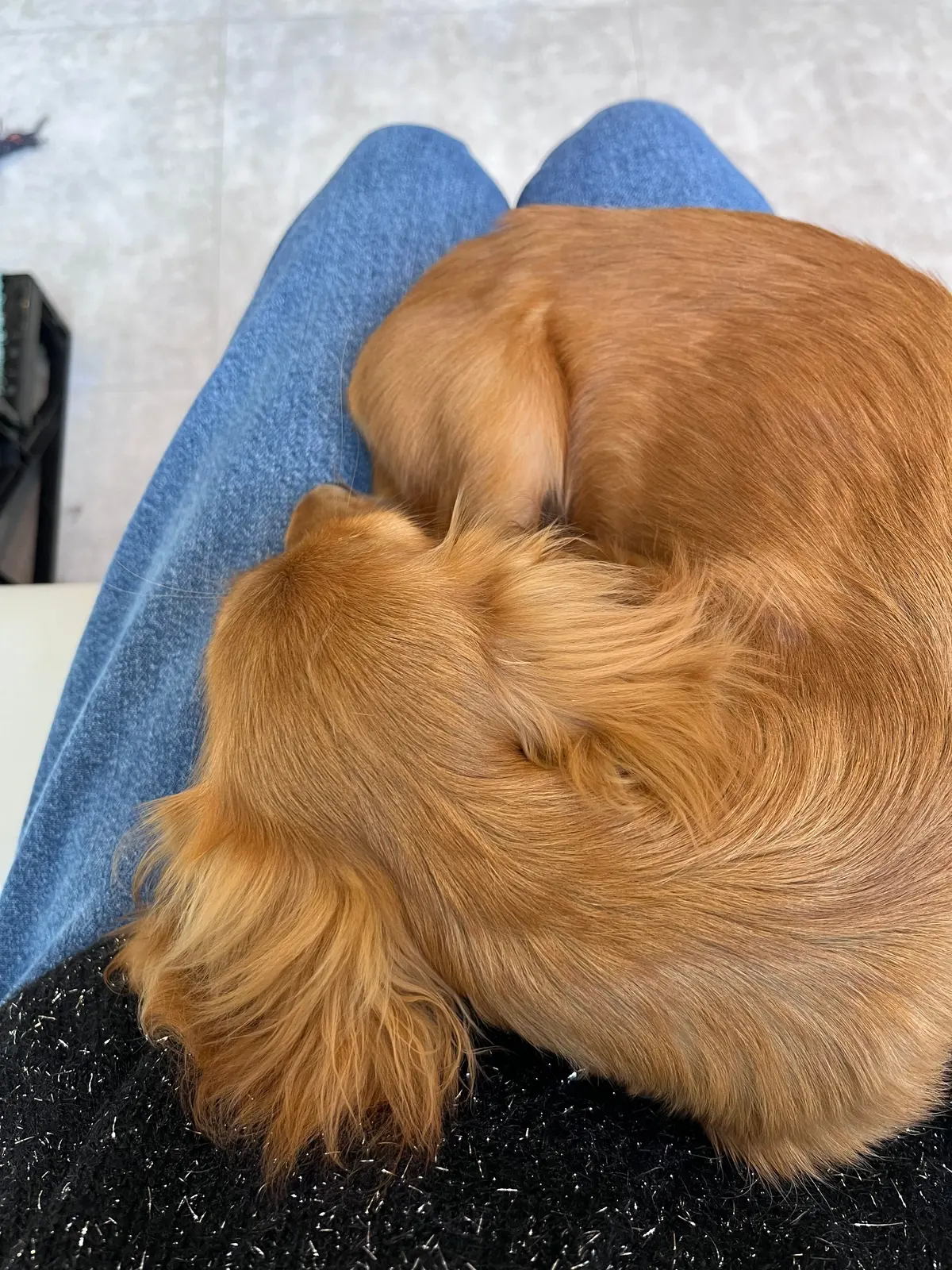 やっぱりかき氷も〝桜🌸〟＆いろいろなことの画像_12