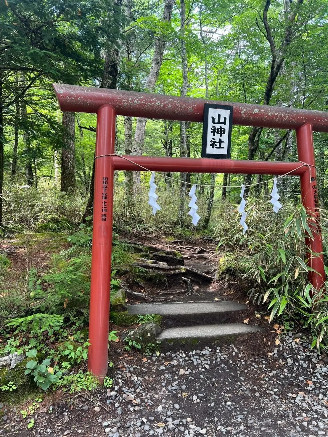 緑豊かな木々に囲まれた、赤い鳥居と神社の案内板。中央には「山神社」と書かれた黒い看板があり、鳥居の左右には白い提灯が吊るされている。石段を降りた先に小道が続いています。