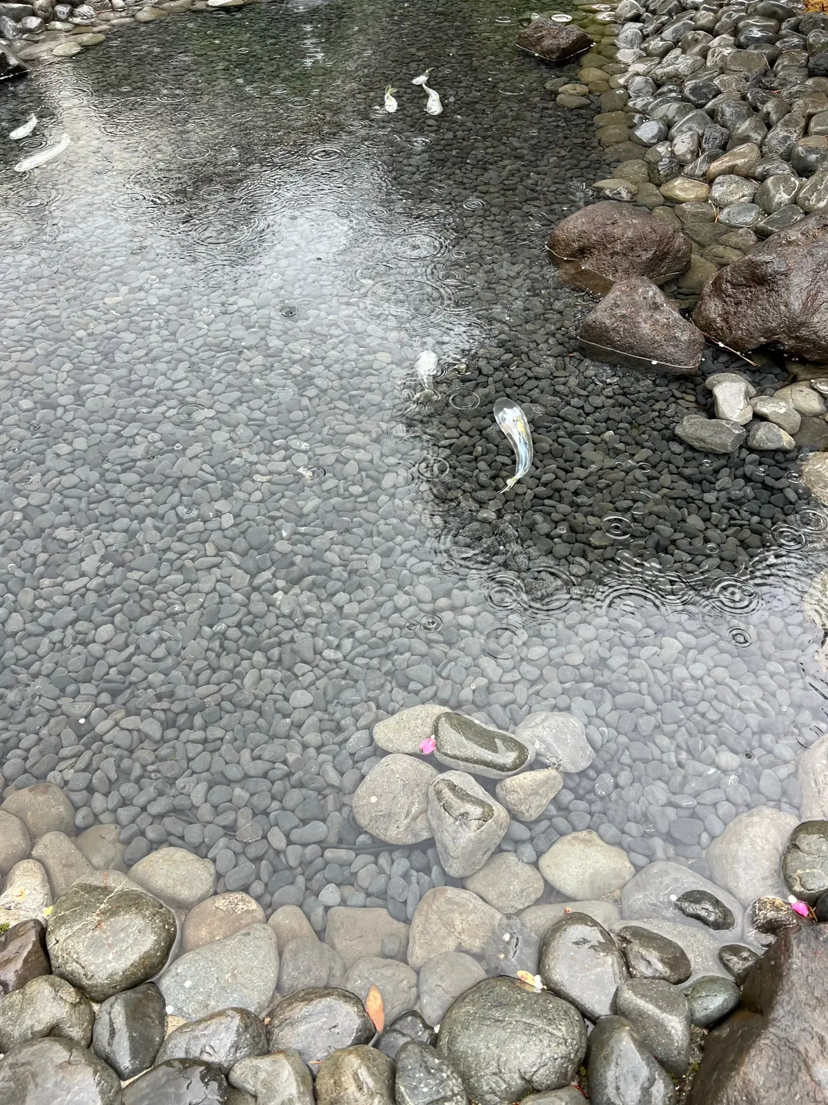 ディオール バンブー パビリオンへ…。カの画像_5