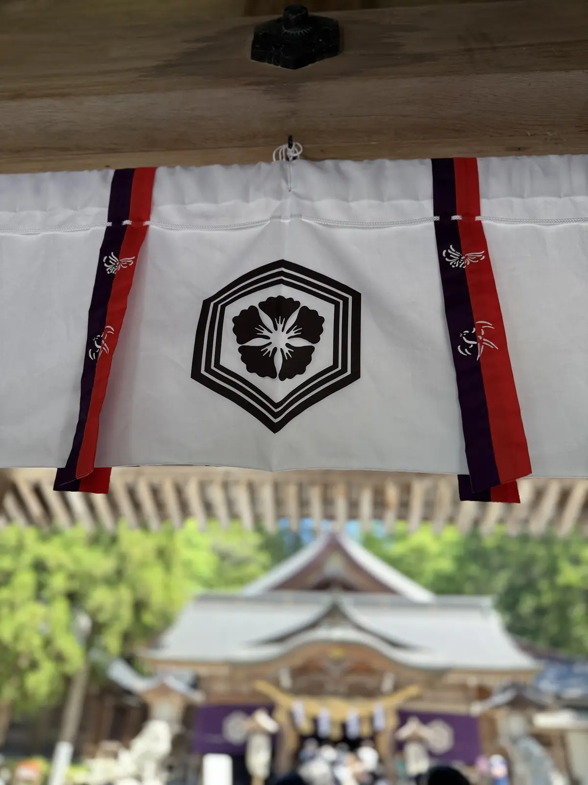 白山比咩神社 白山神社 総本宮 白山信仰 北陸パワースポット 石川観光 白山市 神社巡り 縁結び 菊理媛尊 御神木 老杉 表参道 石段参道 金沢旅行 パワースポット巡り
