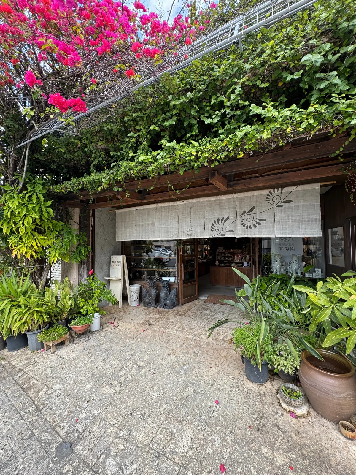 壺屋焼窯元育陶園 本店