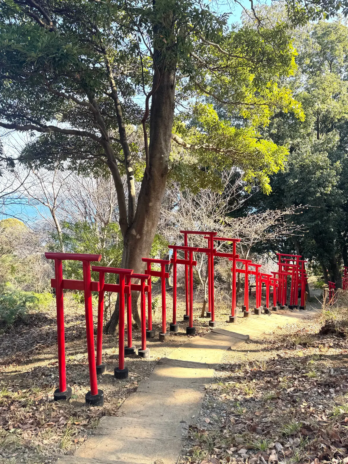 202601 アカオフォレスト 05