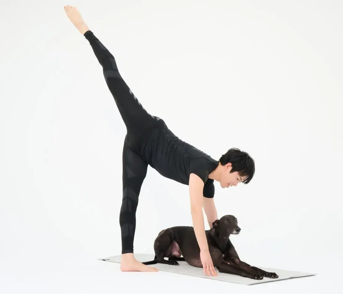 骨盤　ストレッチ