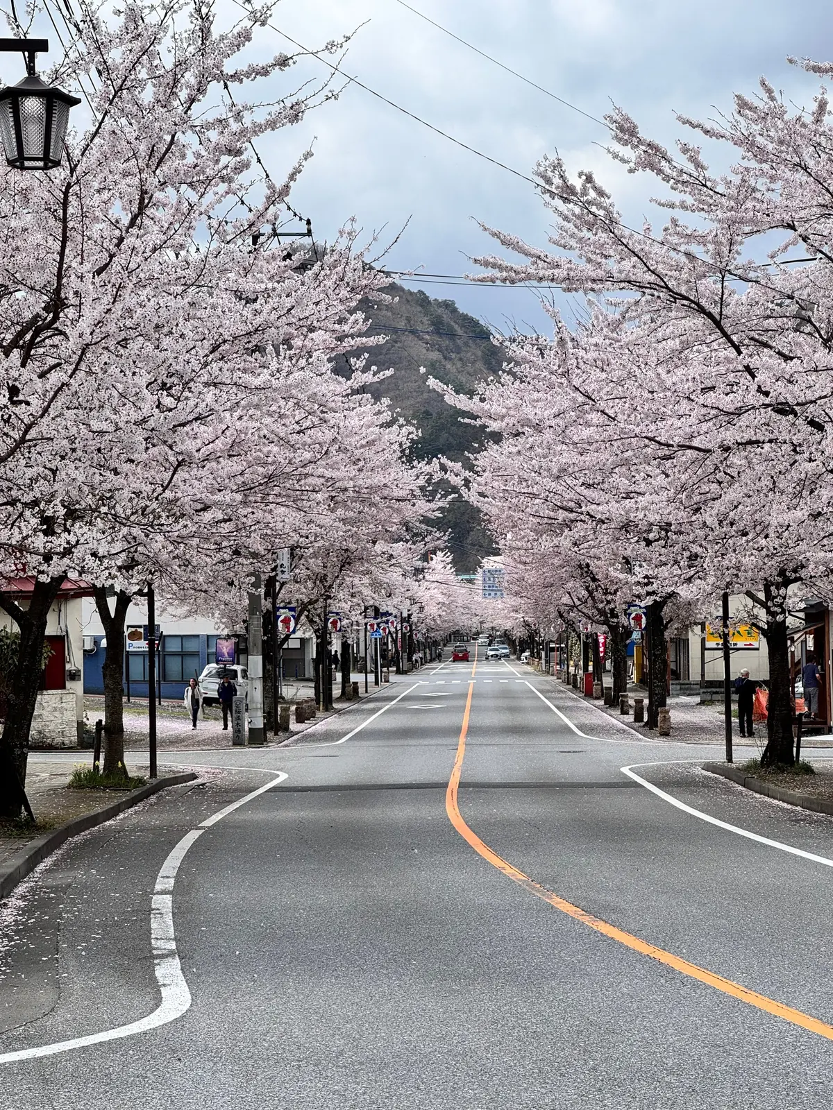 星野リゾート界・鬼怒川 | 桜を楽しむ露の画像_7