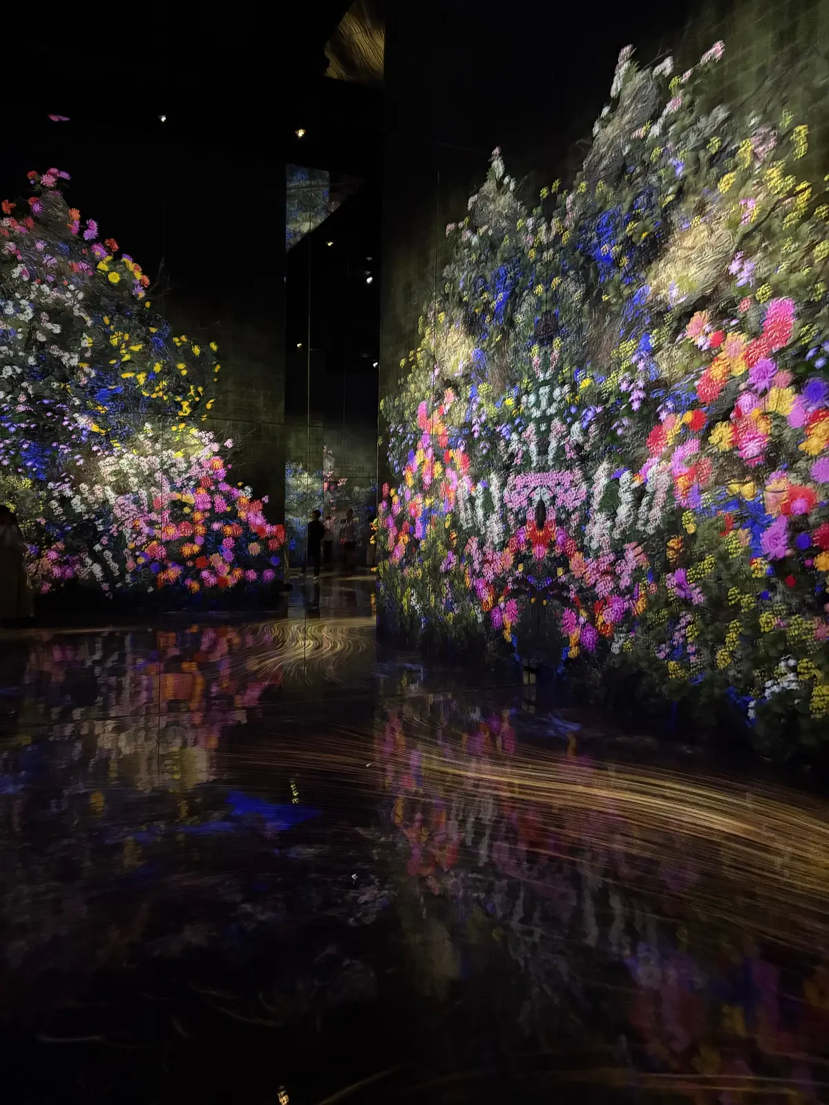 チームラボバイオヴォルテックス京都