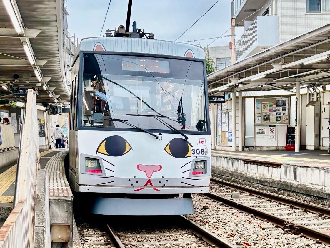 東急世田谷線。白地に猫の顔が描かれた路面電車が、駅のホームに停車している。大きな青い目、ピンク色の鼻、赤い口ひげが特徴的。路面電車には「308」の番号が書かれている。