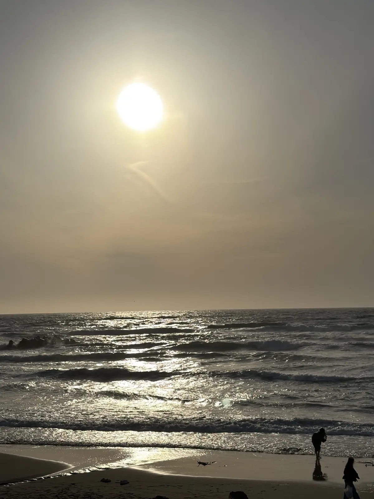 海岸