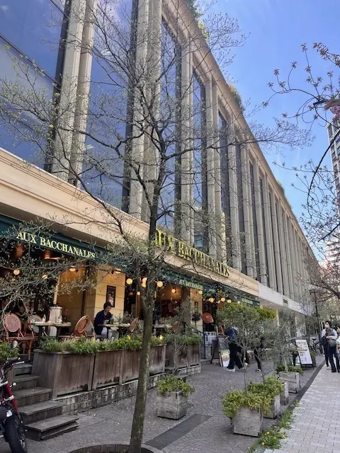 お花見の時期の特等席の画像_3