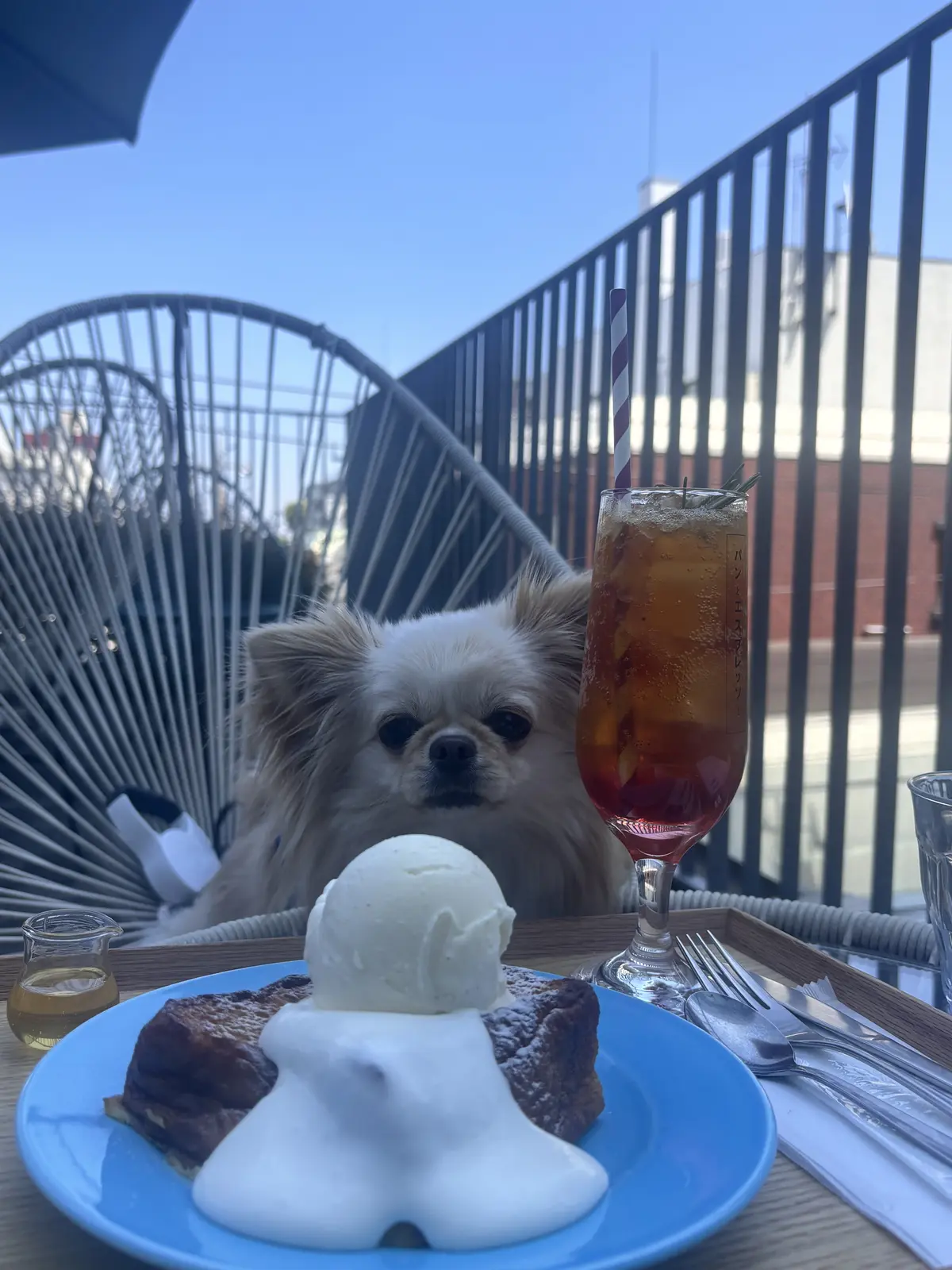 【自由が丘】ワンコとくつろぐカフェ。帰りの画像_7