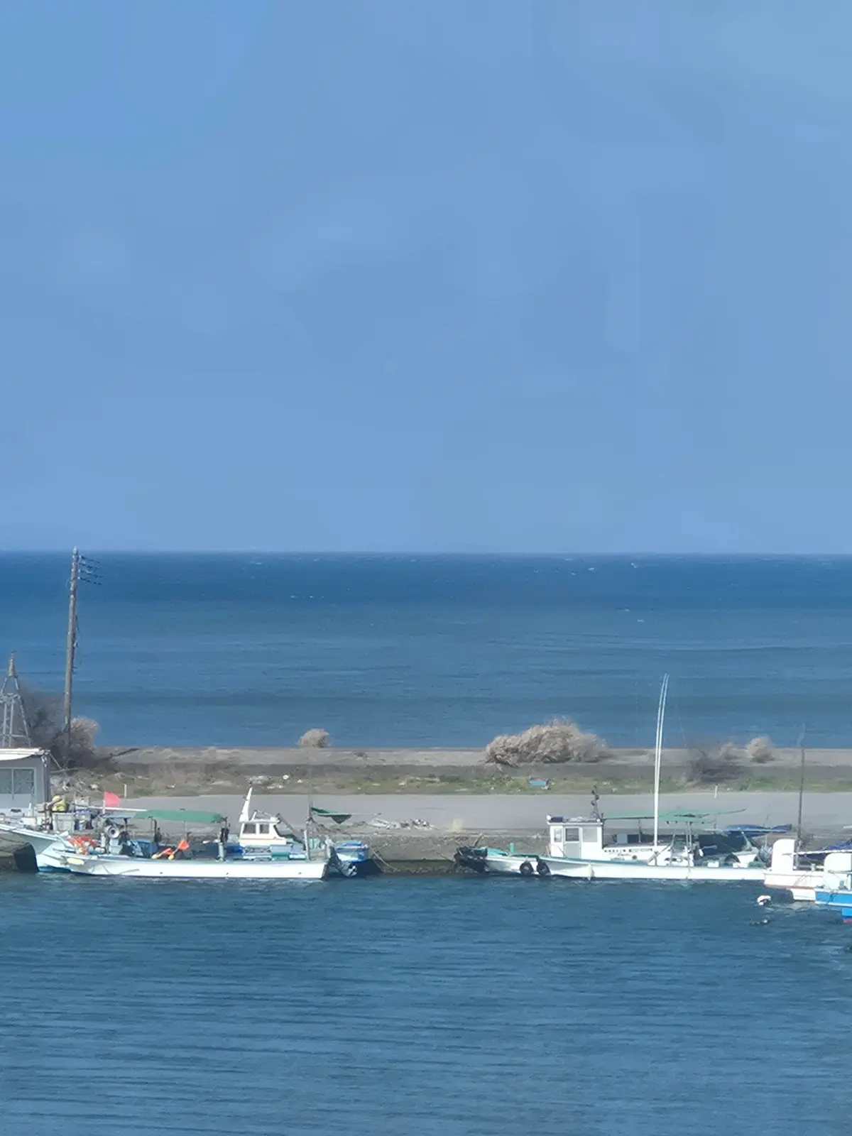 早春の房総半島鉄道旅 前編 目指せ鋸山!の画像_2