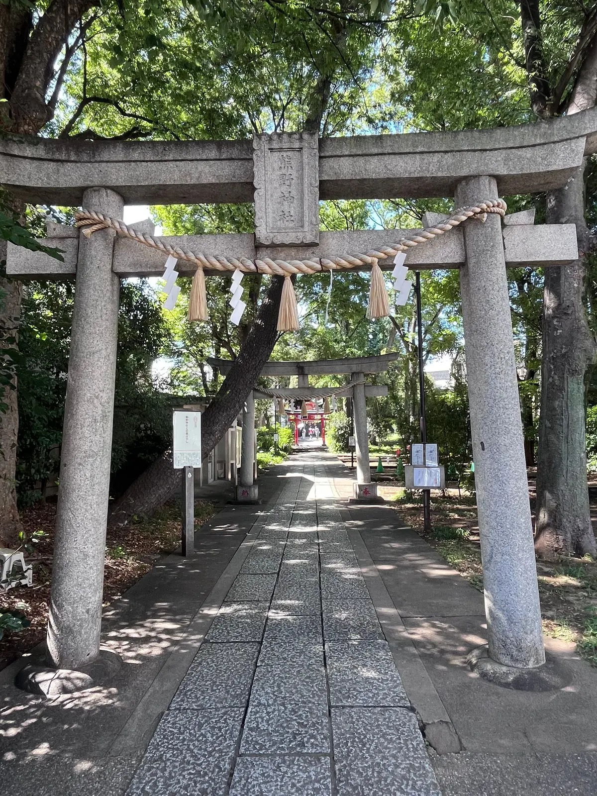 緑豊かな木々に囲まれた鳥居の石段。鳥居は灰色で、白い縄で装飾され、下には紙垂が下がっている。石段は一直線に続き、奥には赤い社殿が見える。