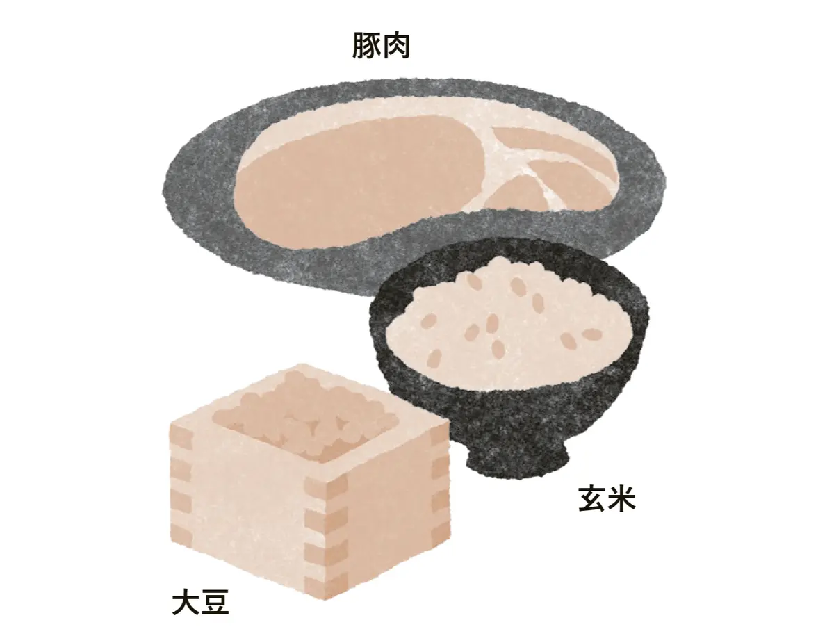 ビタミンB₁も不足なく！  腸活　おすすめ　豚肉　玄米　大豆