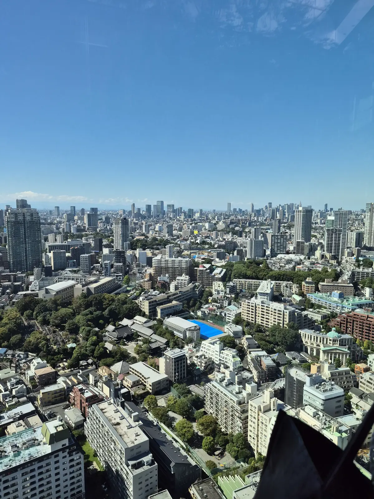 高層ビルからの眺め。青空の下、密集した住宅街と緑豊かな公園が広がり、遠景には高層ビル群が連なる東京の風景。