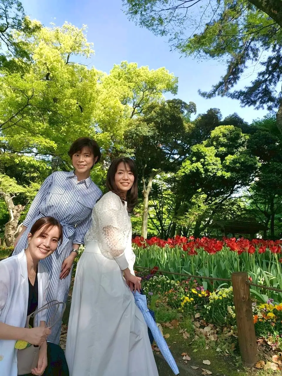 新緑の日本大通りと美味しいフレンチの画像_11