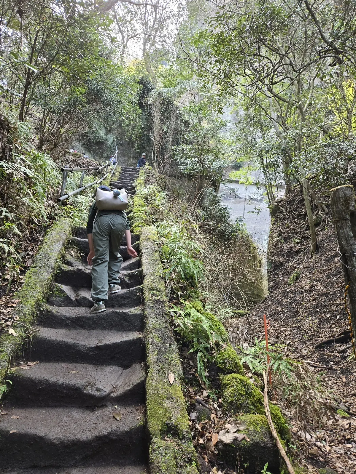 快晴の鋸山リベンジ｜登山道から巡る日本寺の画像_4