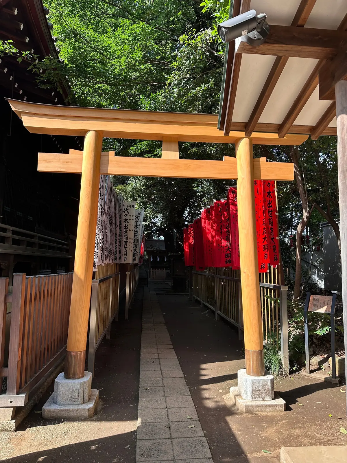 木製の鳥居が並ぶ参道。左右には赤い提灯が吊るされ、奥には緑豊かな木々が見える。地面は砂利道で、中央には歩道がある。