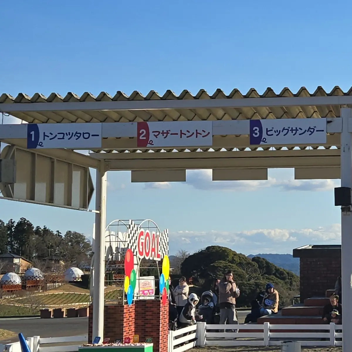 今の時期ならでは！菜の花とイルミネーショの画像_2