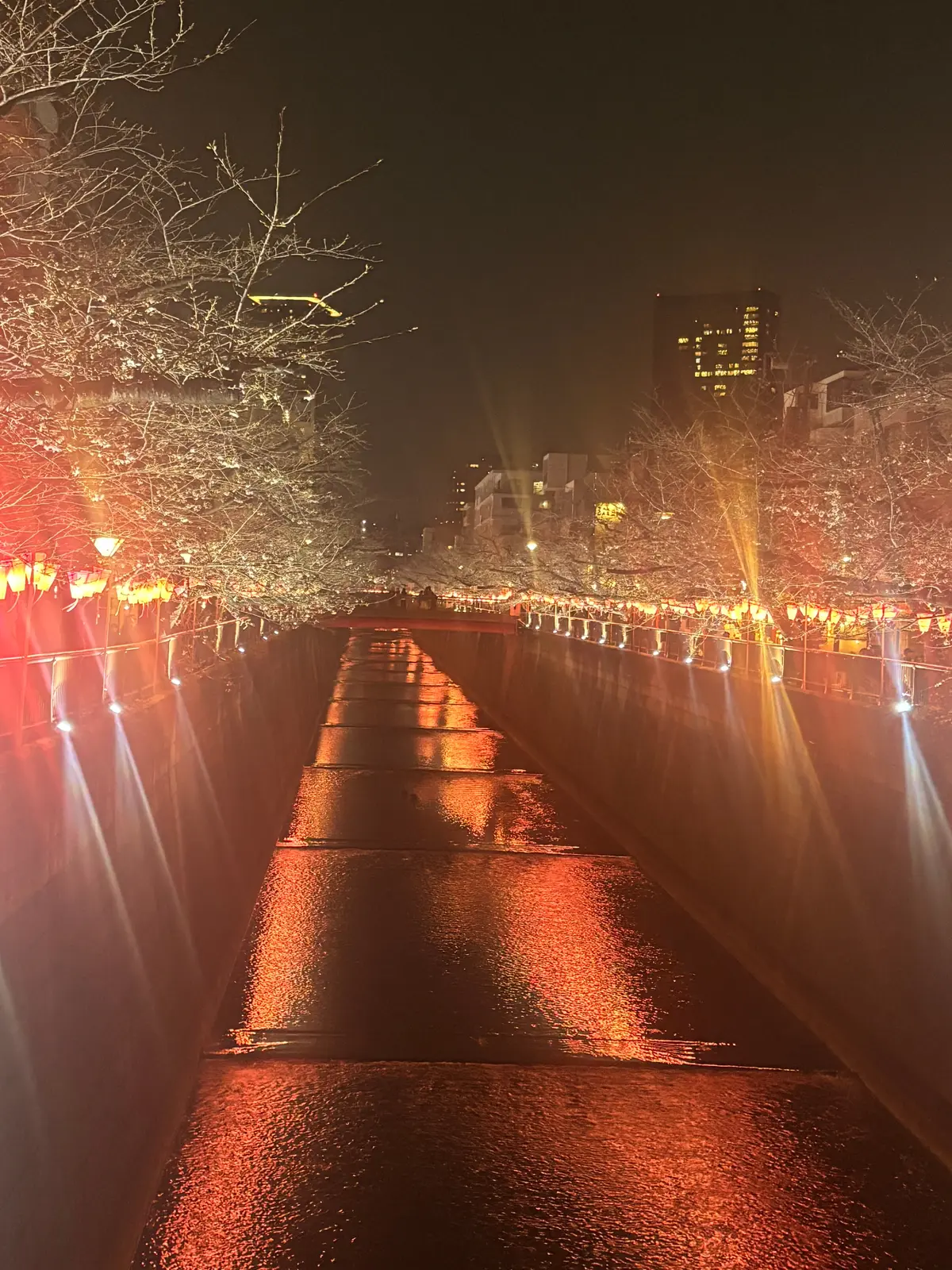 母と過ごす連休、春のコーヒータイムの画像_5