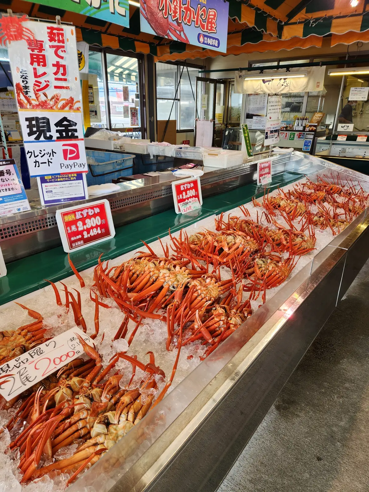 鮮やかな赤いエビが氷の上に並び、価格表示付きの冷蔵ケース内にある魚市場の様子