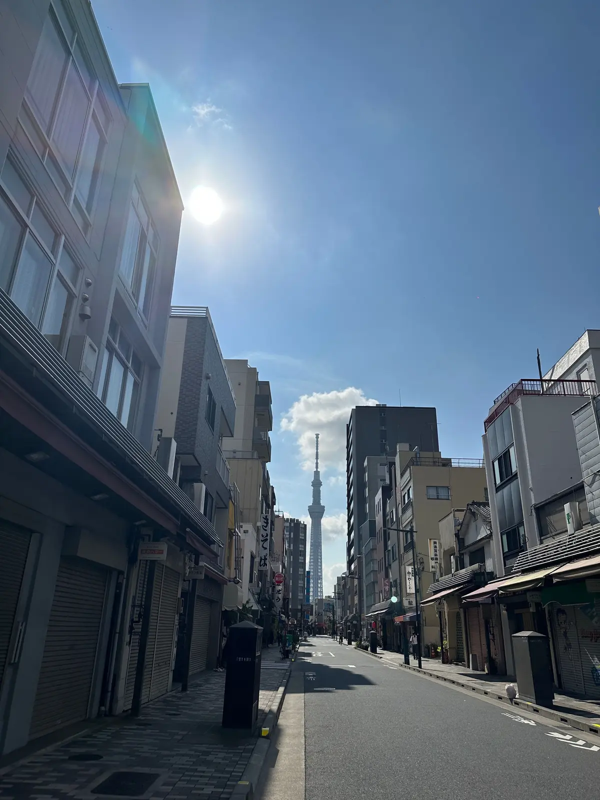 浅草寺　ほおずき市　四万六千日　お参り　縁日　お祭り　ほおずき　風鈴　スカイツリー