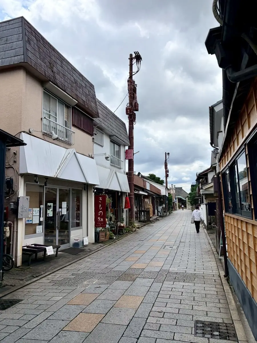 石畳の通路に沿って並ぶ店舗と木造の建物、電柱と雲が広がる町並み