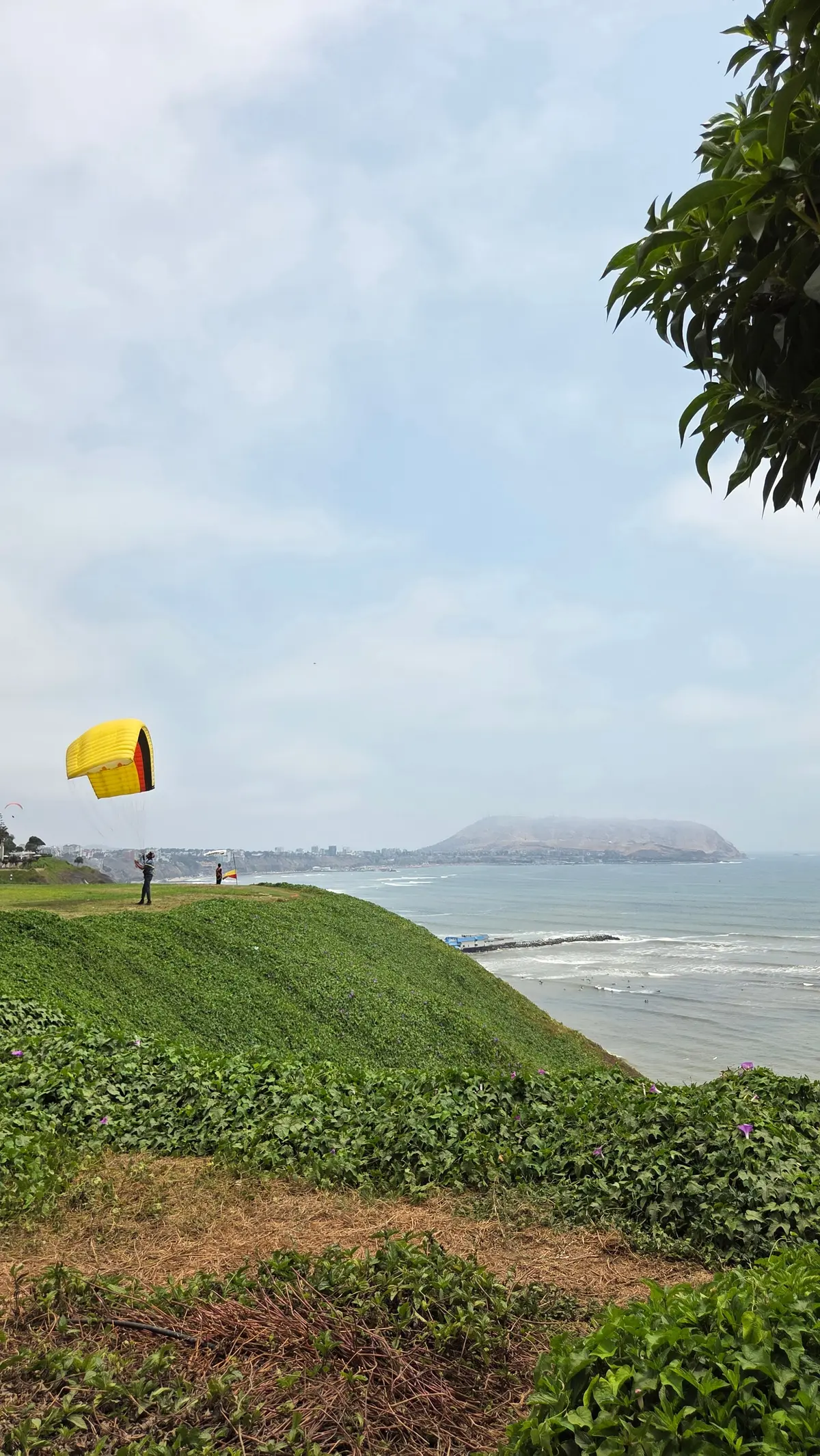 南米旅行最終回～世界トップ50のレストラの画像_10