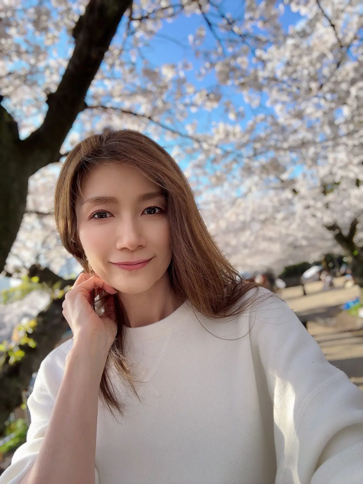 桜満開🌸の画像_3