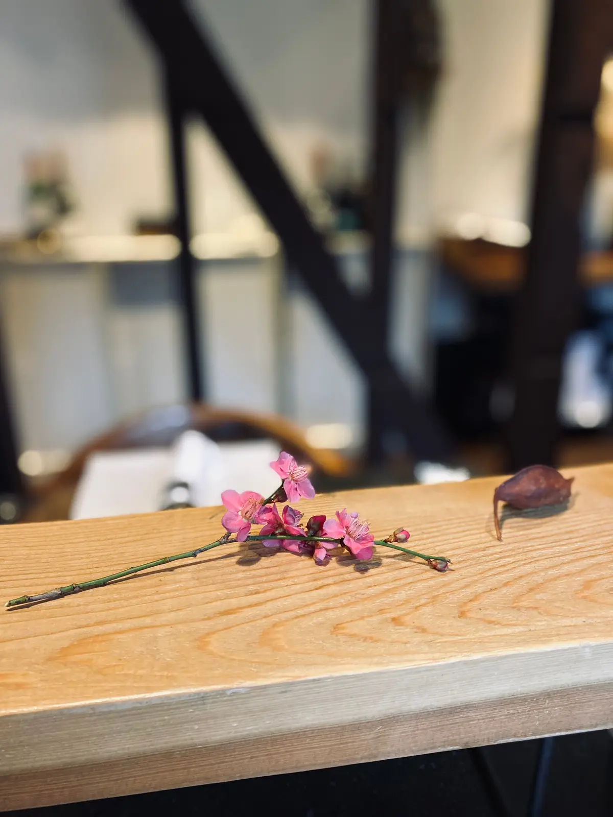 鎌倉 LAINE アフタヌーンティー 紅茶 ティーカップ 上質 空間