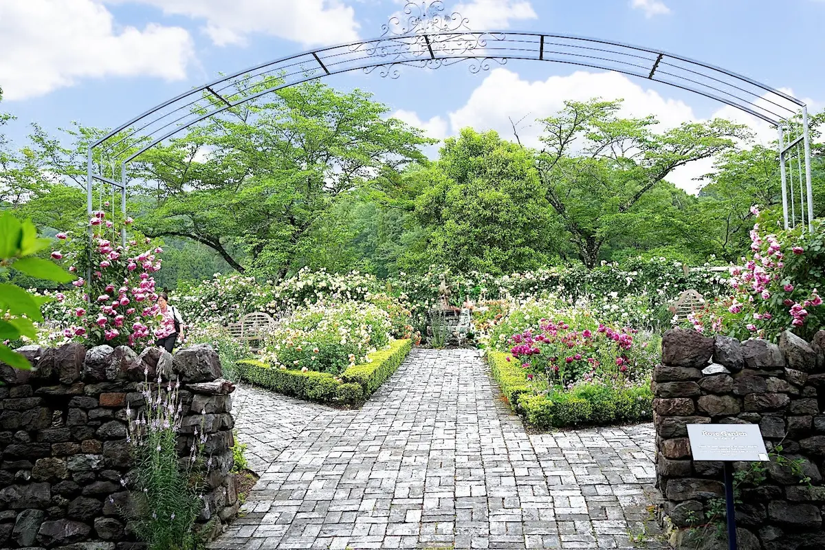 Rose Garden