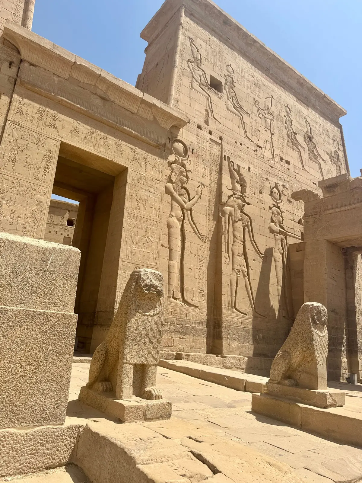 古代エジプトの神殿。砂色の石造りの壁面には、神々や儀式のレリーフが彫刻されている。正面にはライオンの像が左右に配置され、入り口へと続く通路がある。