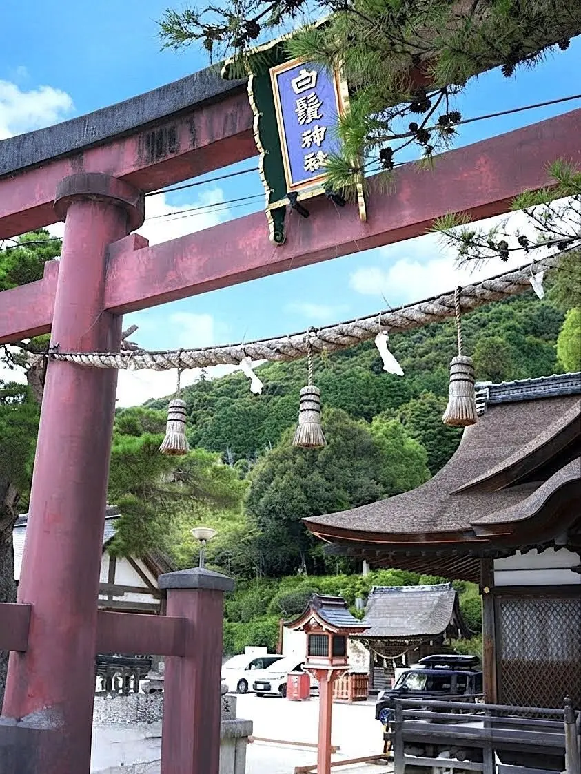 近江の厳島と呼ばれる白髭神社の大鳥居。白髭神社の創建は約2000年前と言われ ご祭神は猿田彦命です