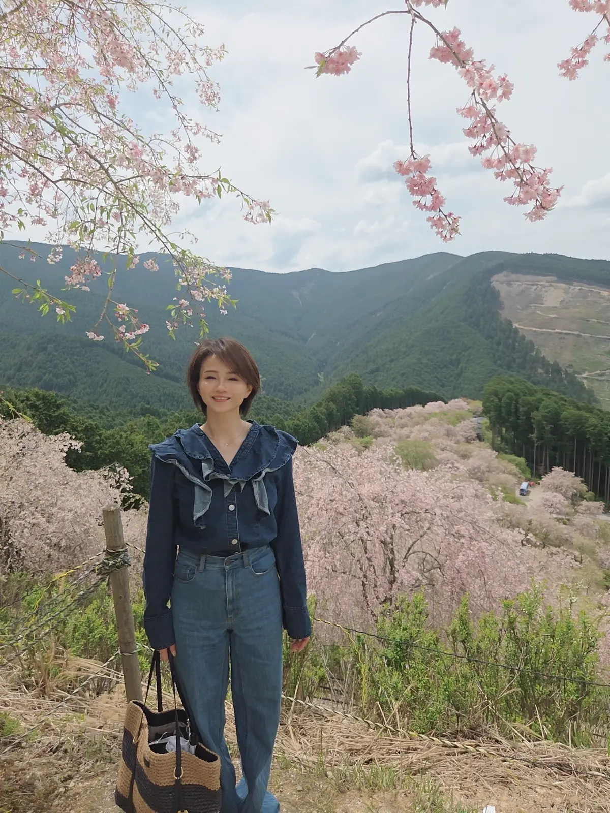 千本のしだれ桜にギリギリ間に合った！の画像_1