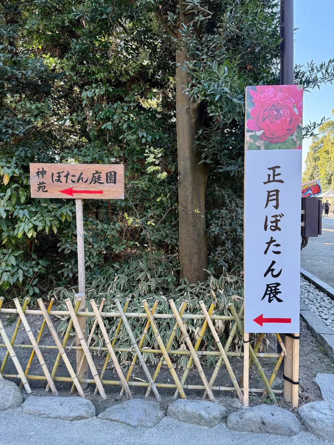 鎌倉　鶴岡八幡宮　境内　神苑ぼたん庭園