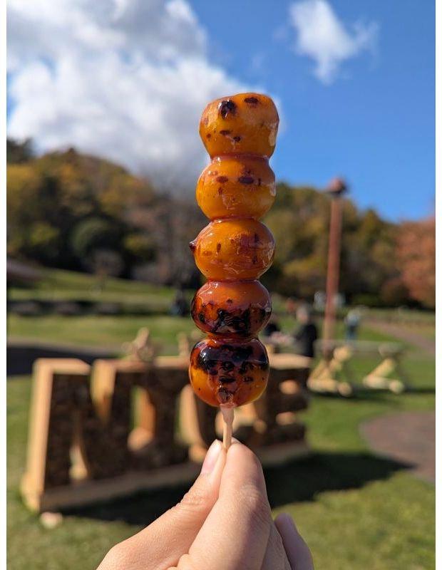 串に刺さった、焼きみたらし団子。琥珀色のあんでコーティングされ、表面に焦げ目がついている。背景には緑の芝生と木々が見える。
