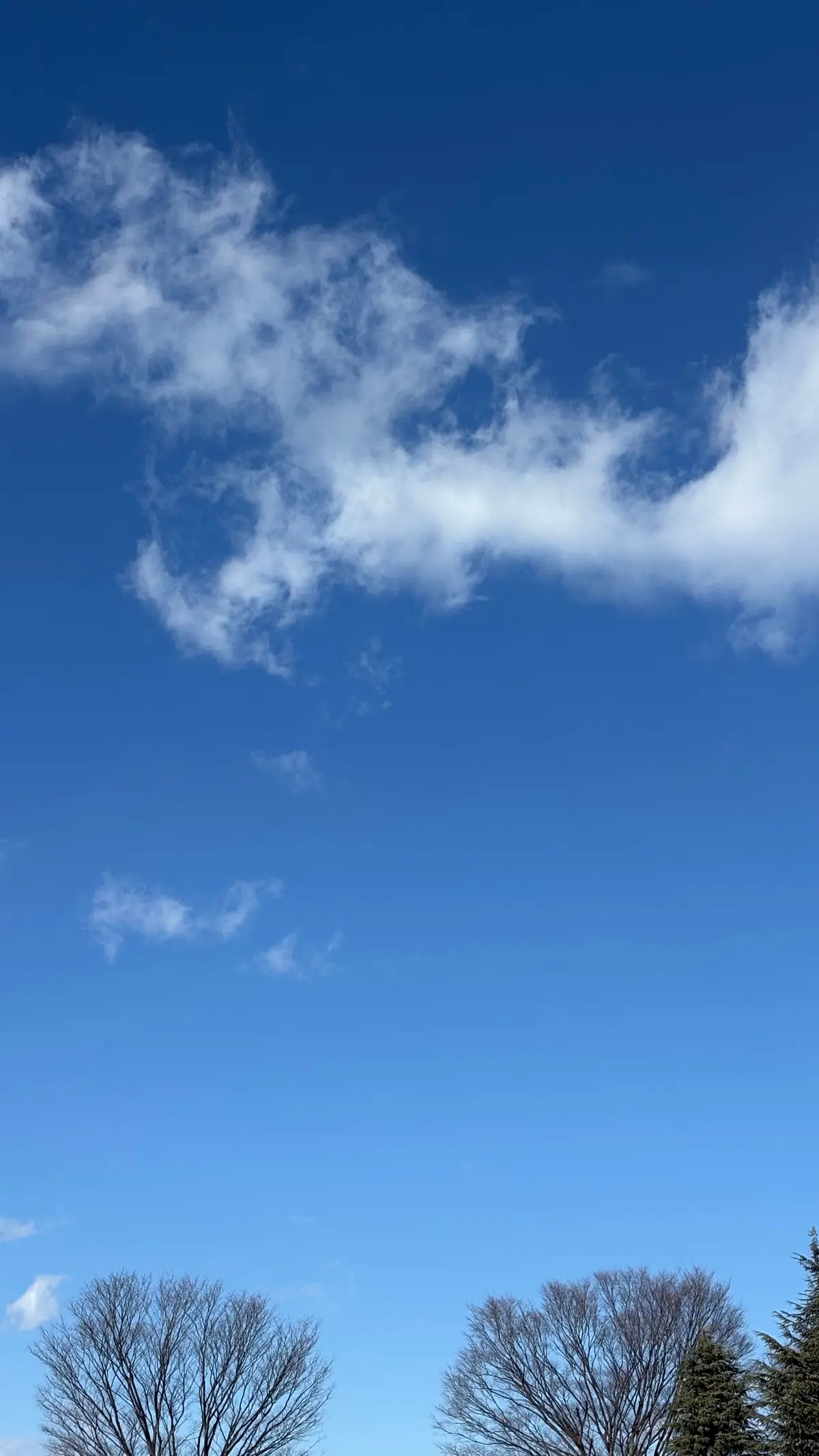 50代GUレザーパンツコーデの画像_1