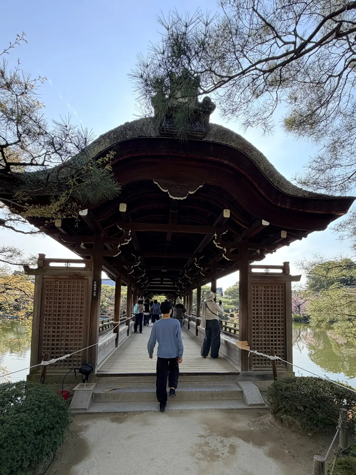 京都、桜さんぽ。満開の桜は天国のよう～平の画像_13
