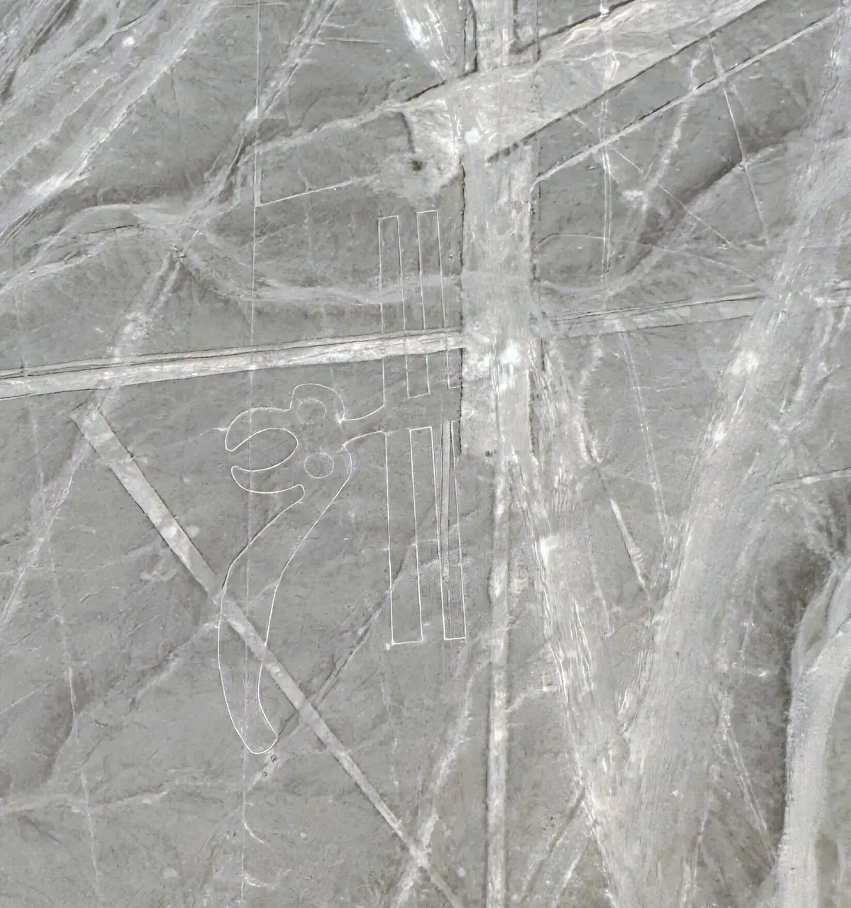 エクラ掲載の「バケットリスト」が現実に！の画像_18