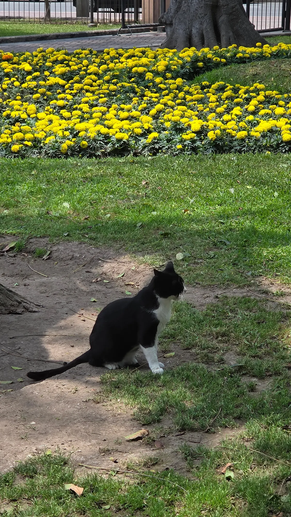 南米旅行最終回～世界トップ50のレストラの画像_7