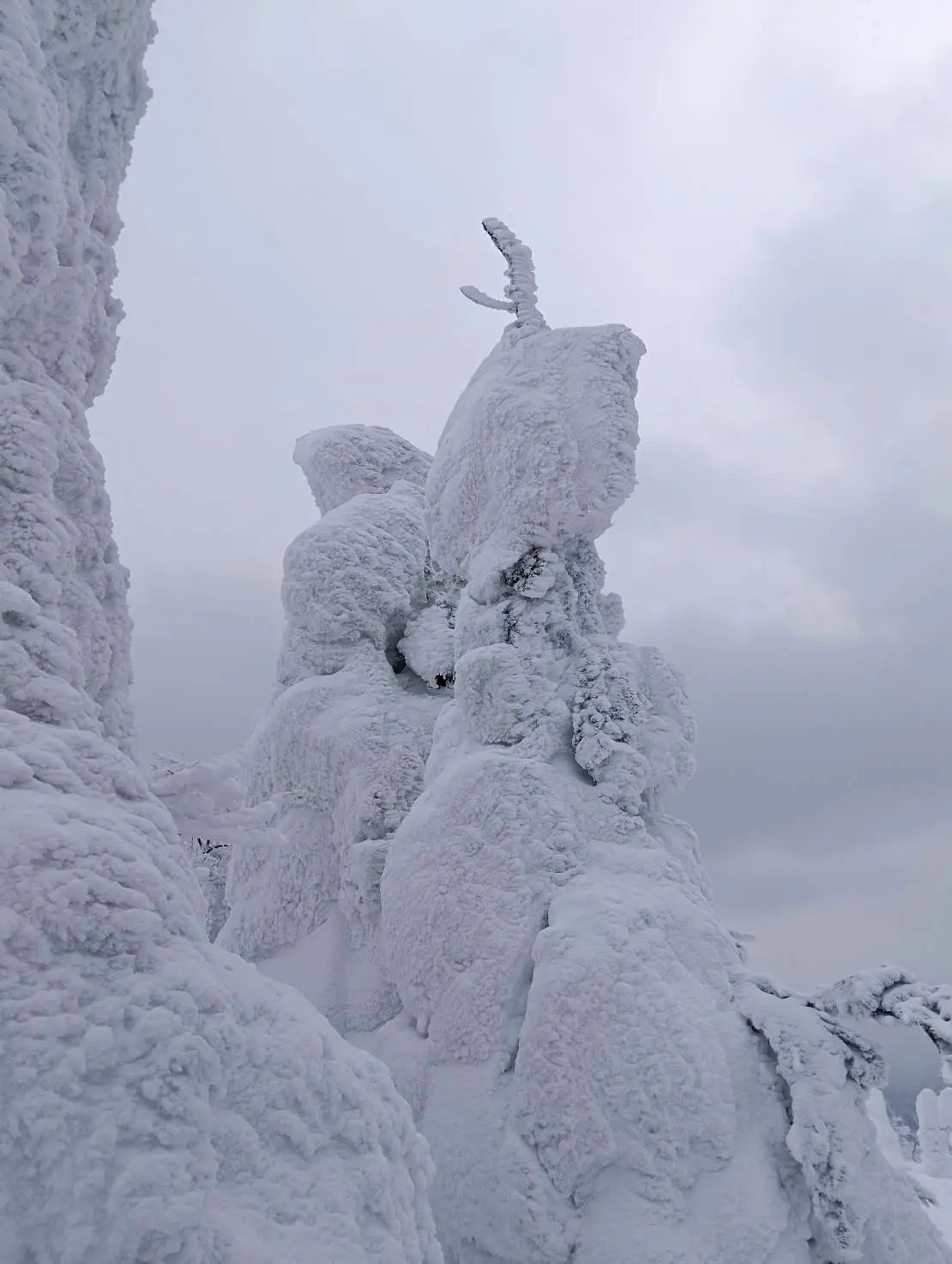 森吉山の樹氷平⑥