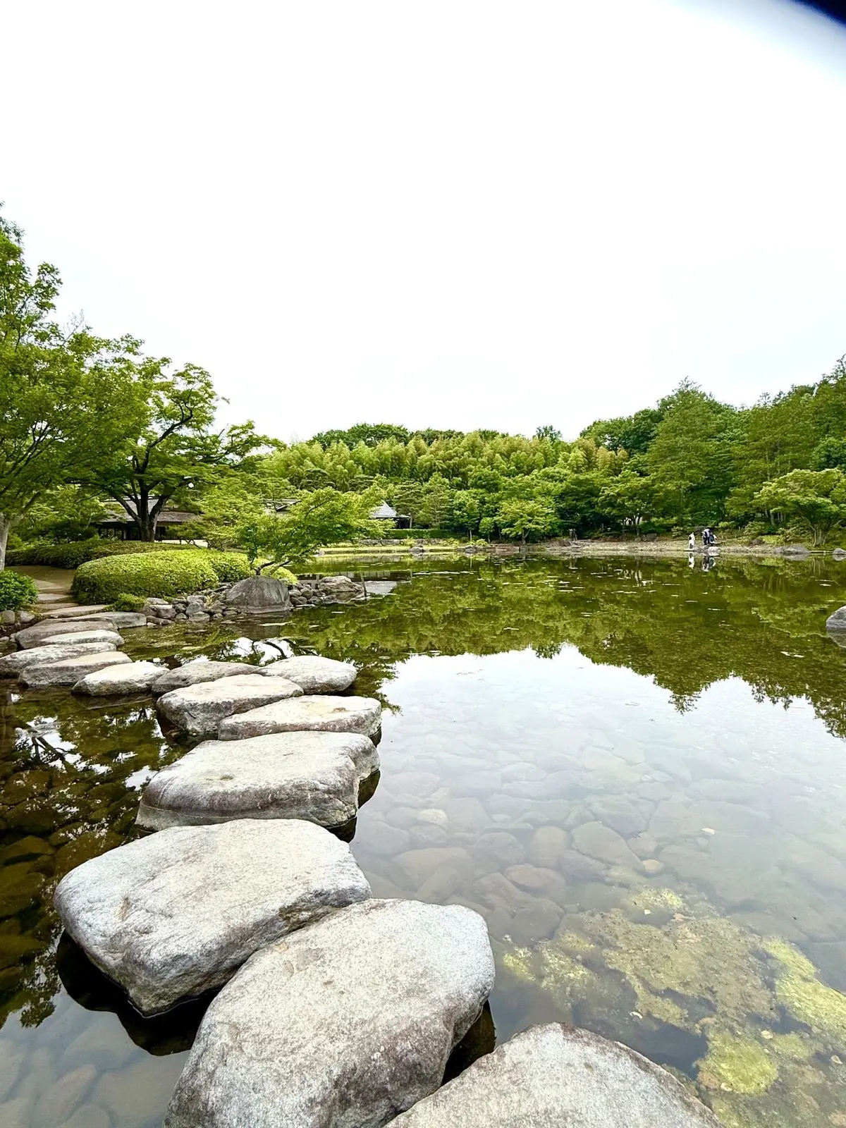 国営昭和記念公園、日本庭園、緑豊かな森の中の小川と滝、岩と草むらに囲まれた自然の風景