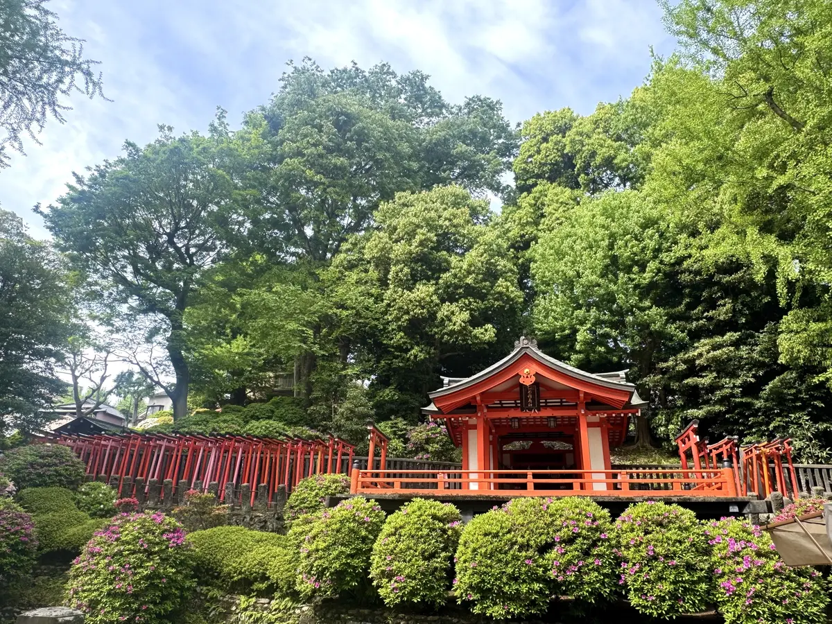 根津神社 05