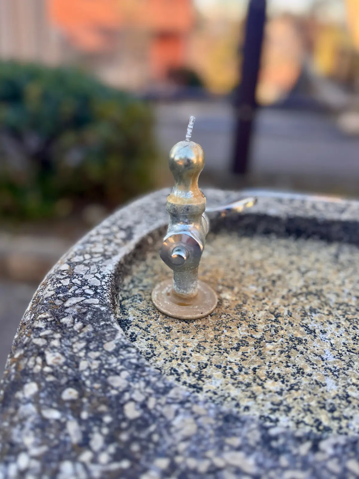 ユニクロのカシミヤ小物が主役！冬のお散歩の画像_3