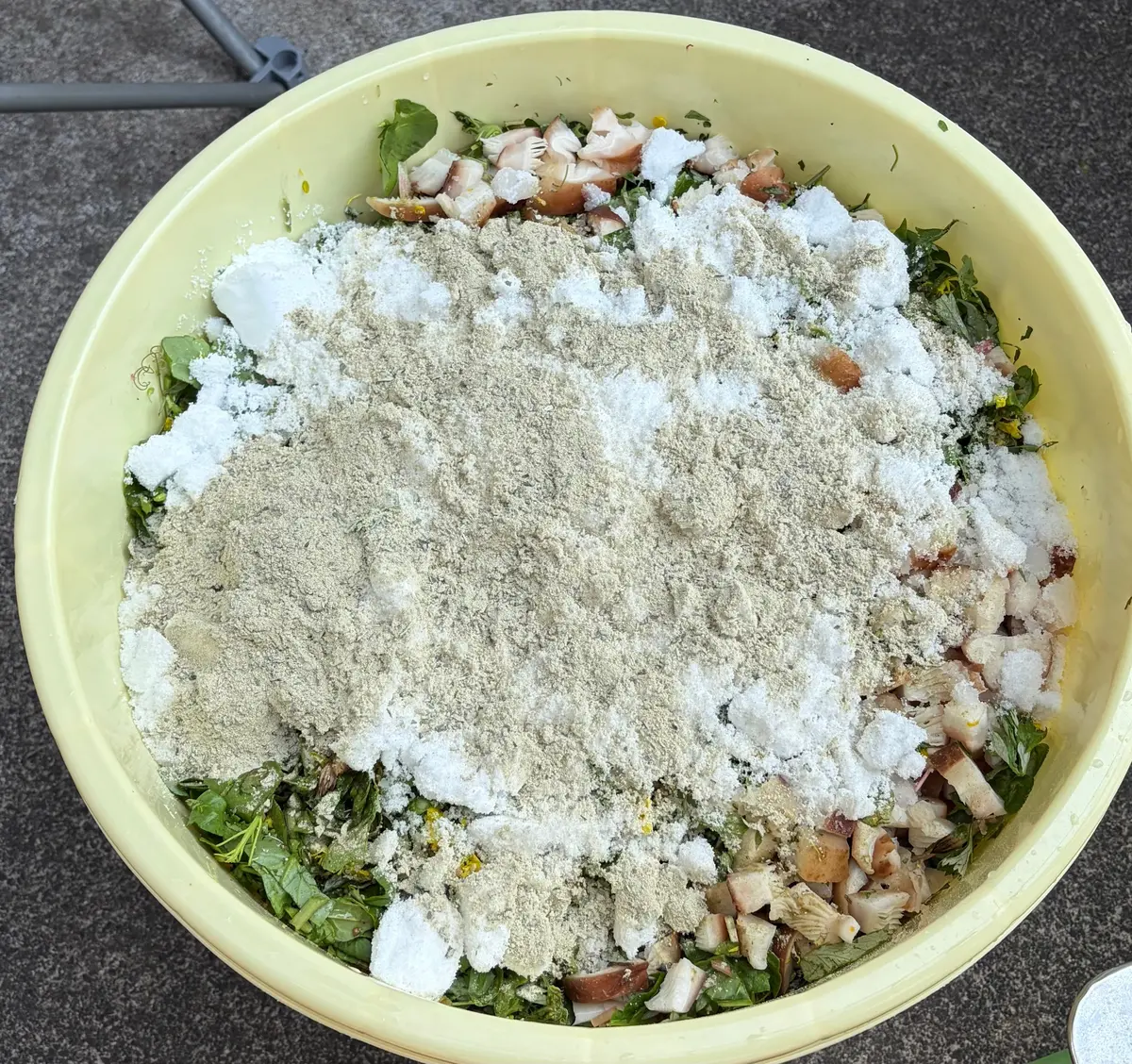 春のエネルギーを凝縮！野草で仕込む「春のの画像_10